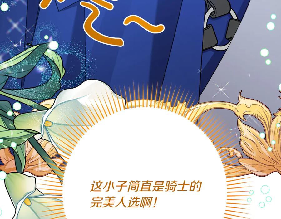 第223页
