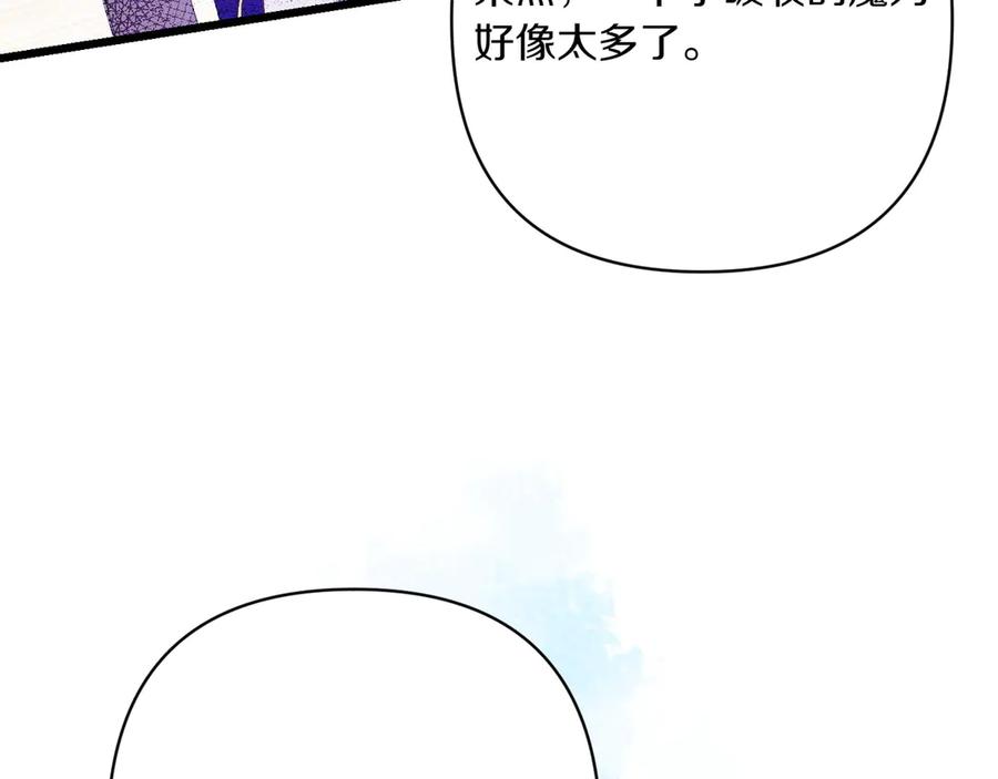 第223页