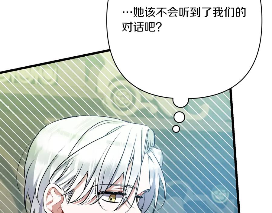 第223页
