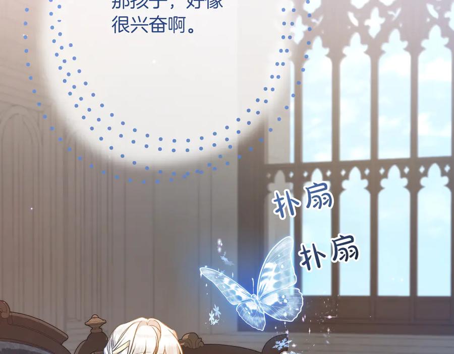 第215页