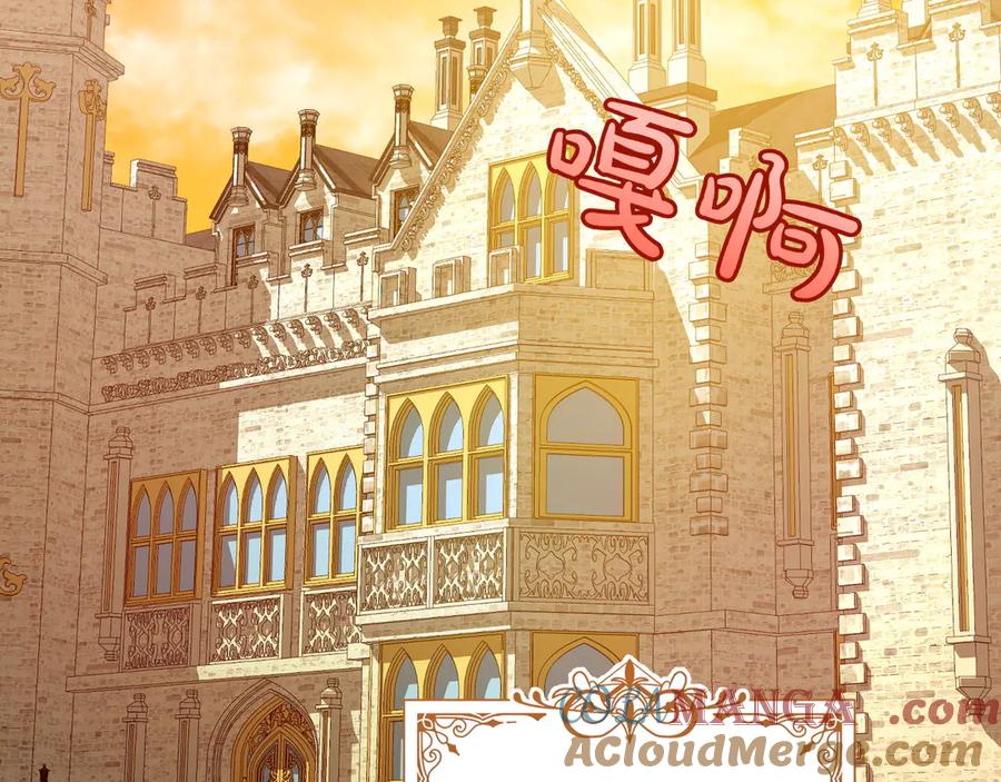 第217页