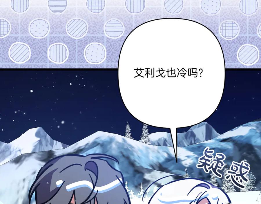 第206页