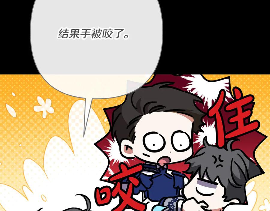 第207页