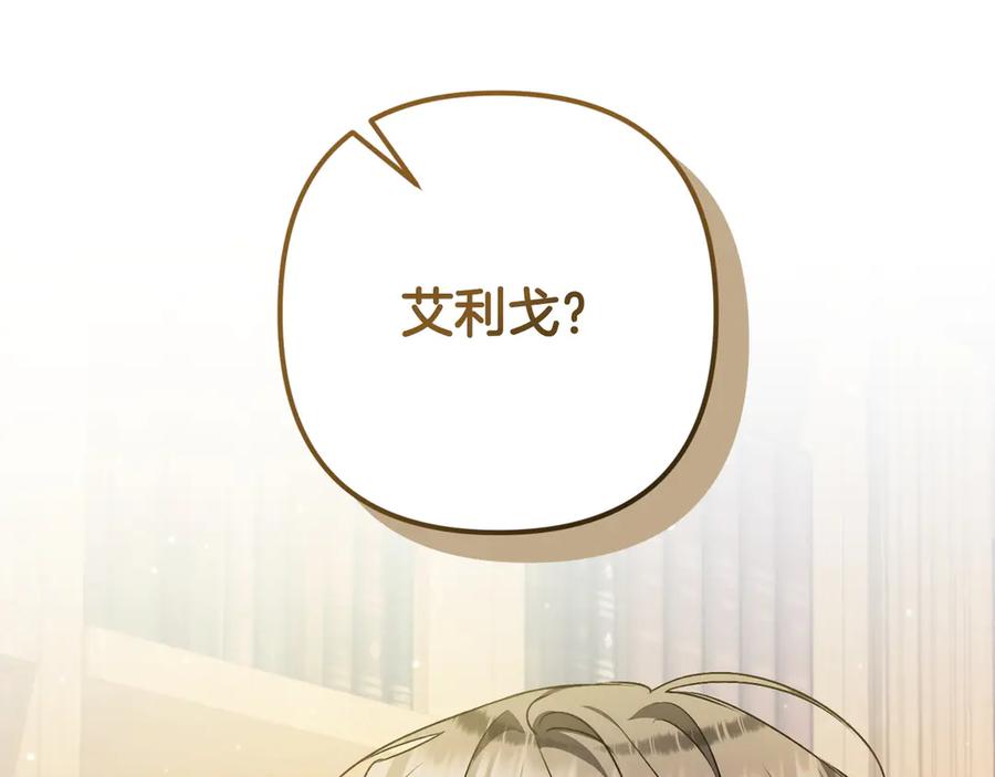 第256页