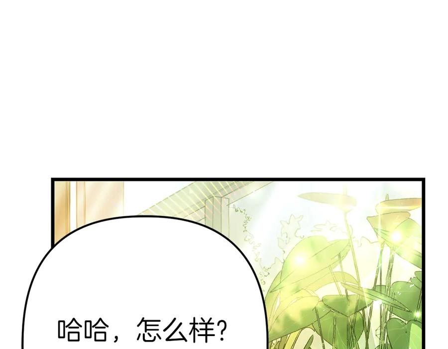 第214页