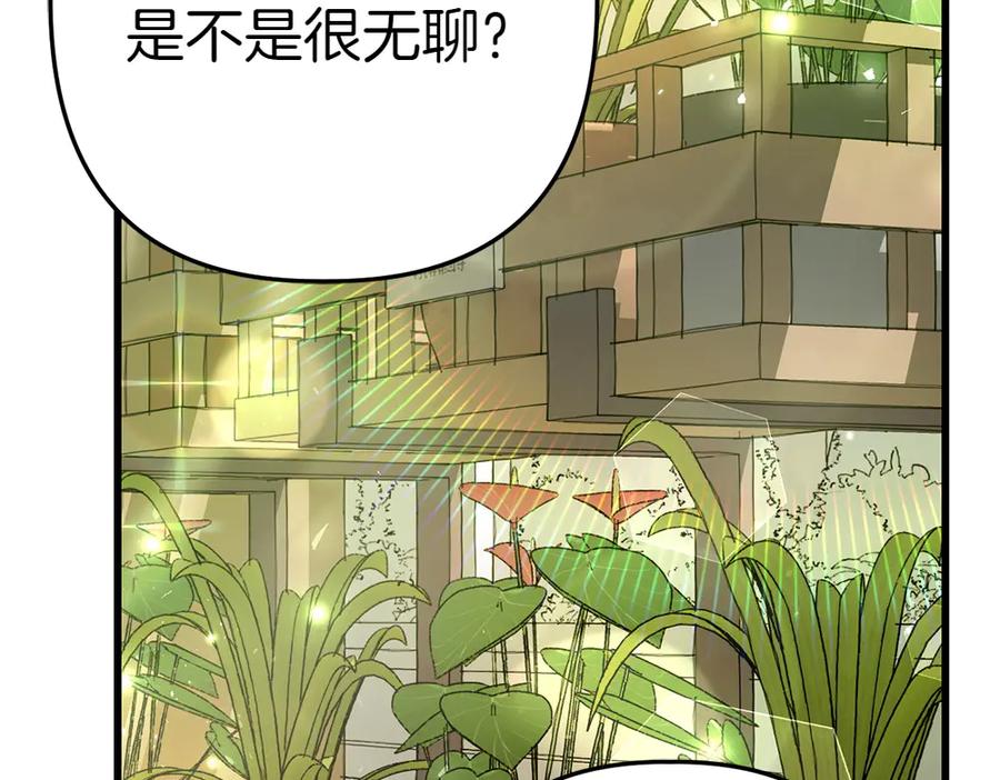 第215页