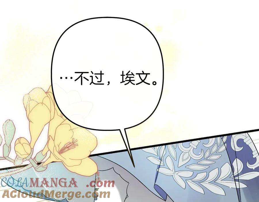 第217页