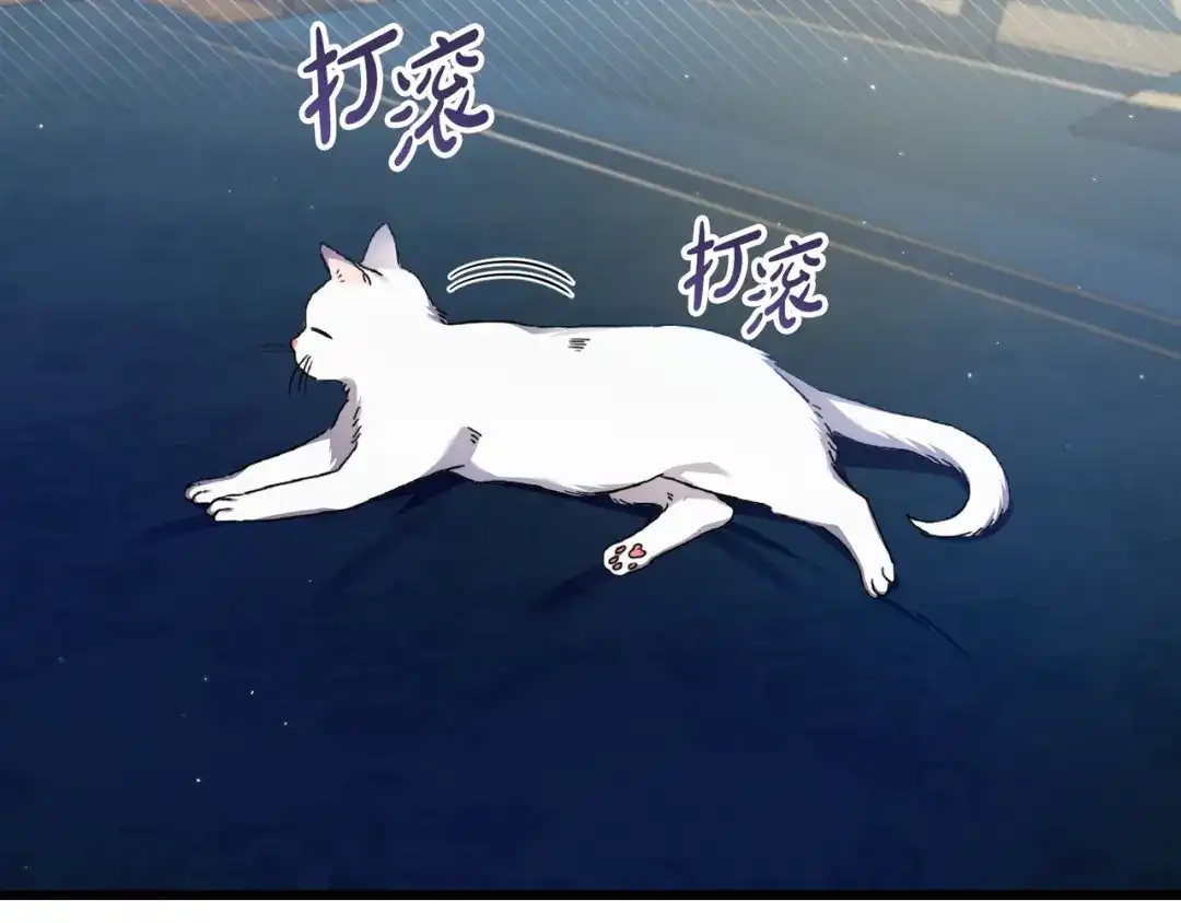 第216页
