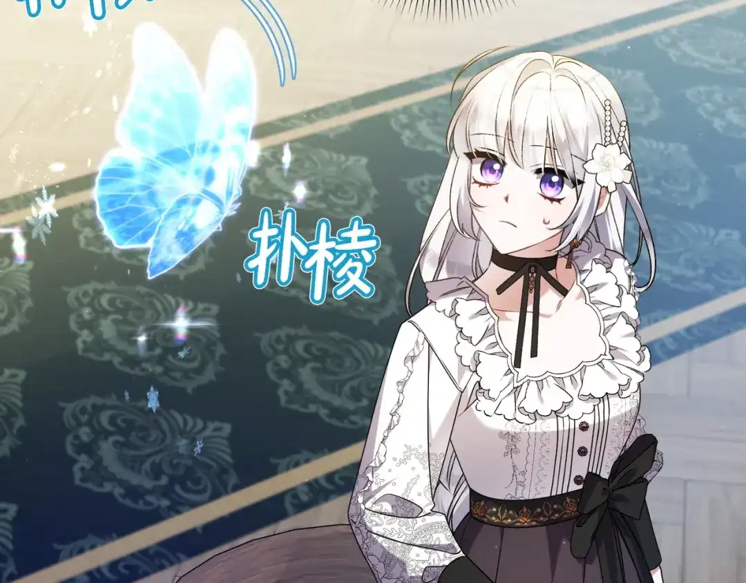 第224页