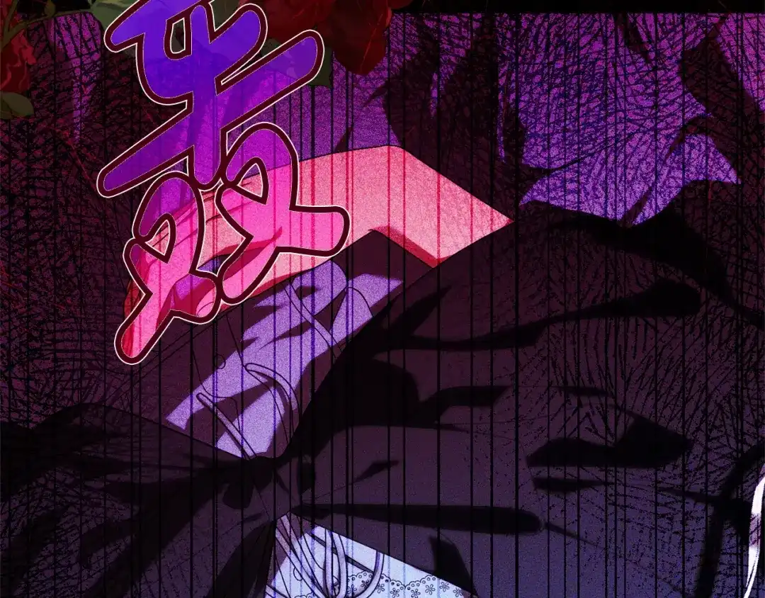 第216页