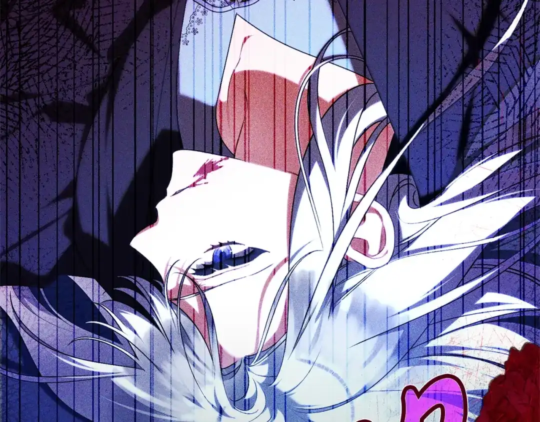 第217页