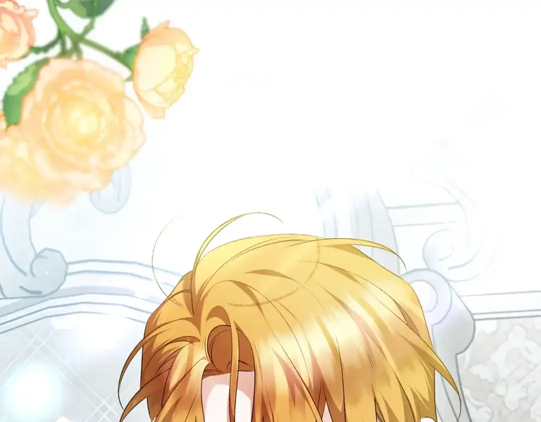 第239页