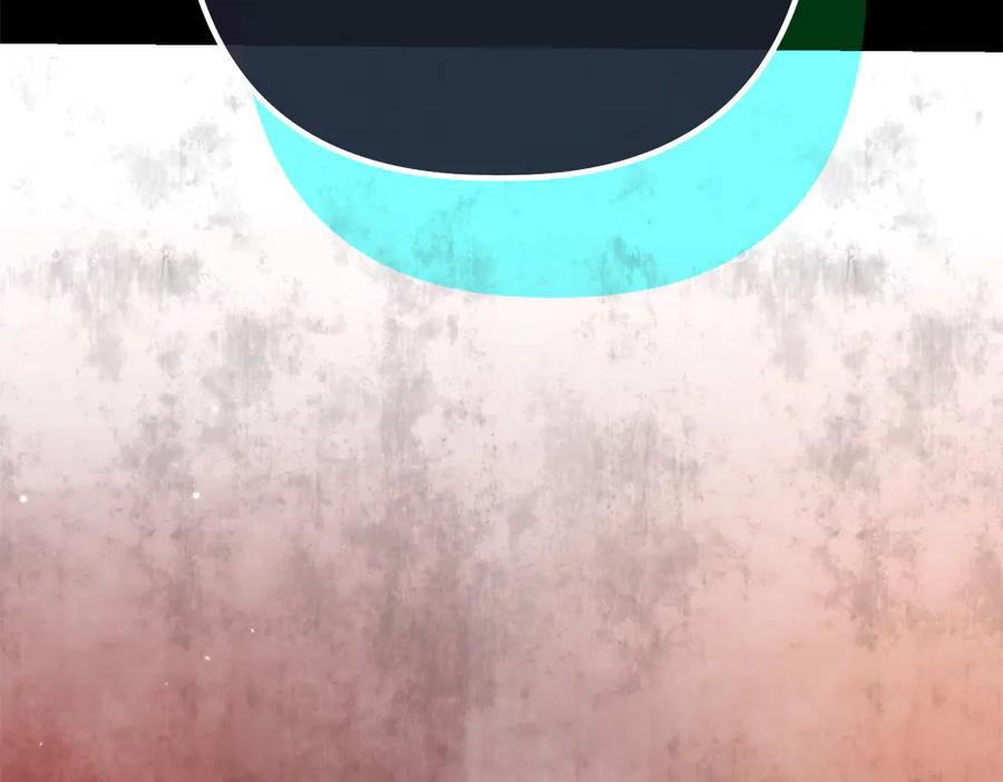 第242页