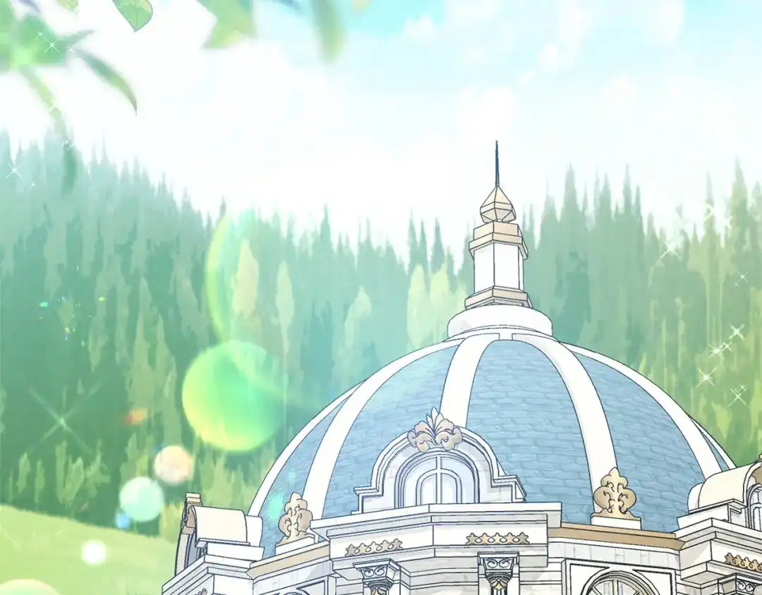 第204页