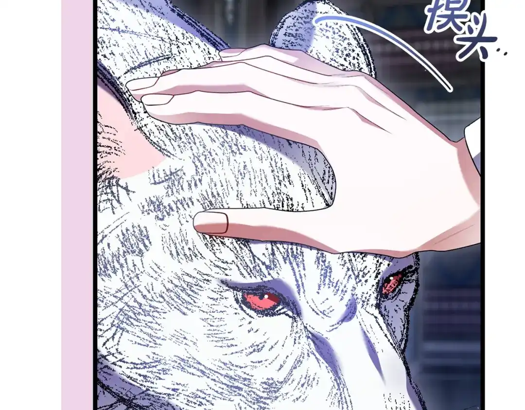 第203页