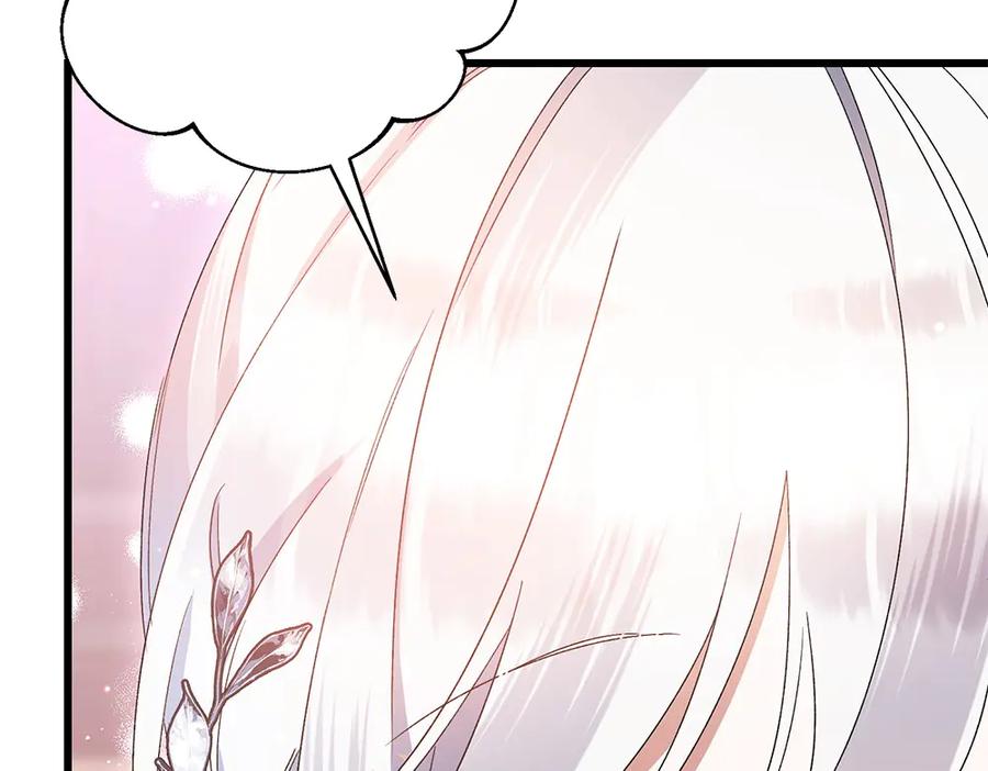 第242页
