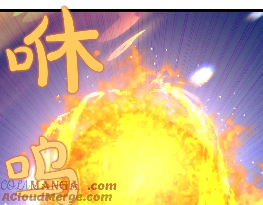 第245页