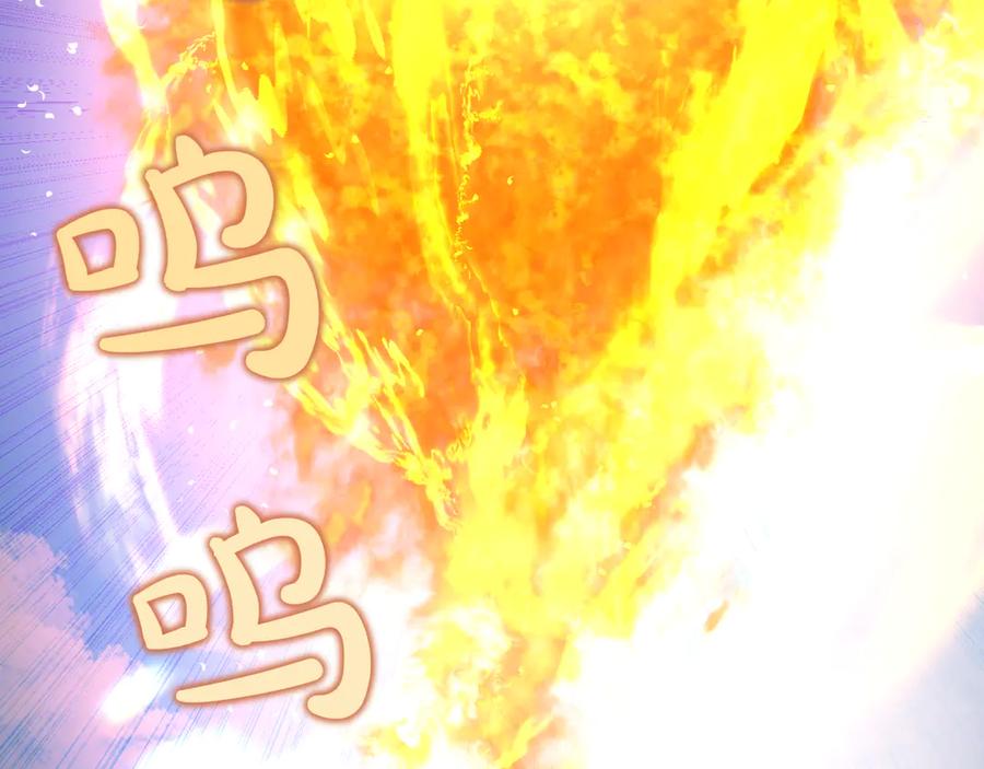 第246页