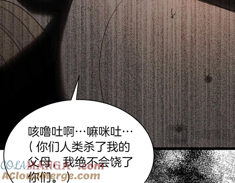 第217页