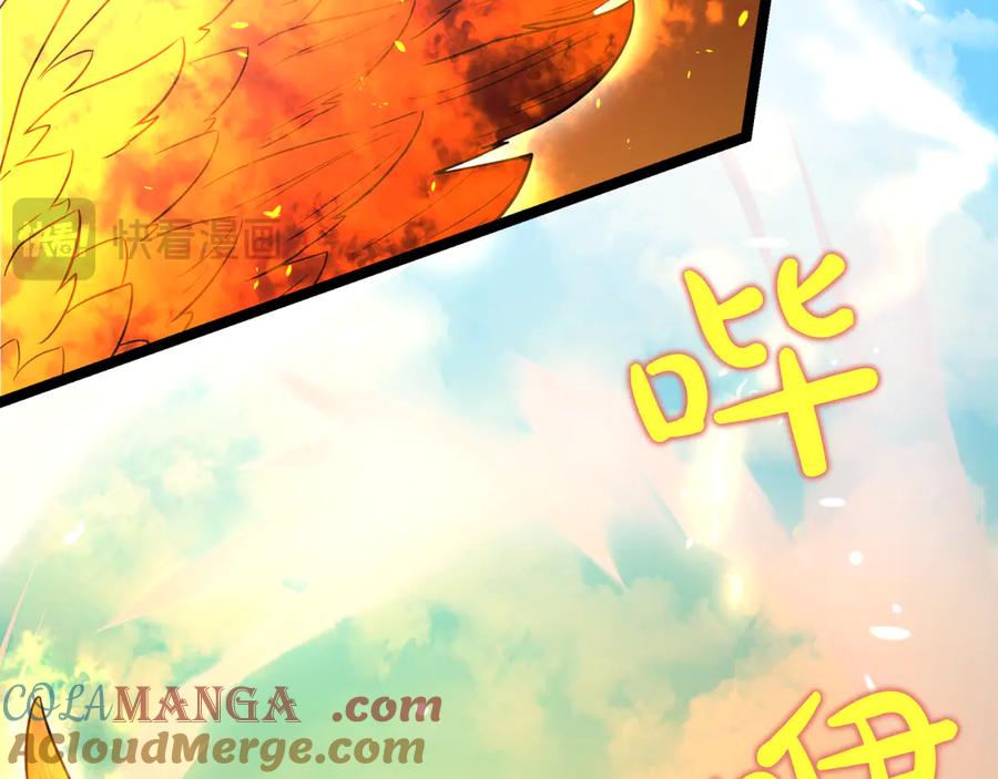 第209页