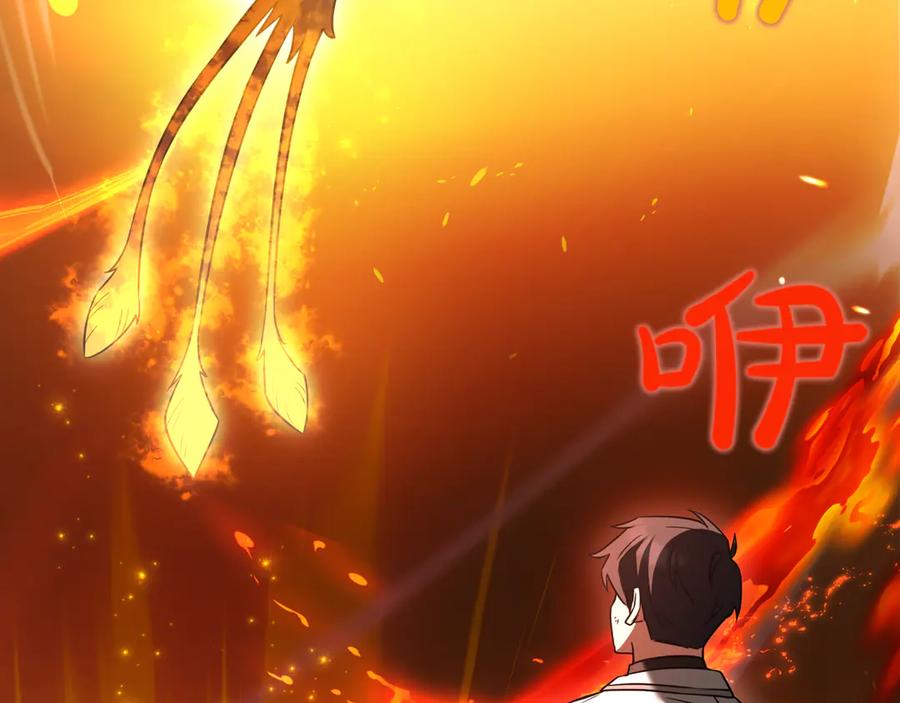 第211页