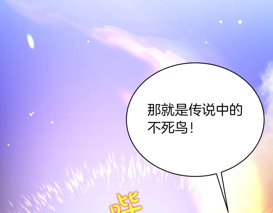 第215页