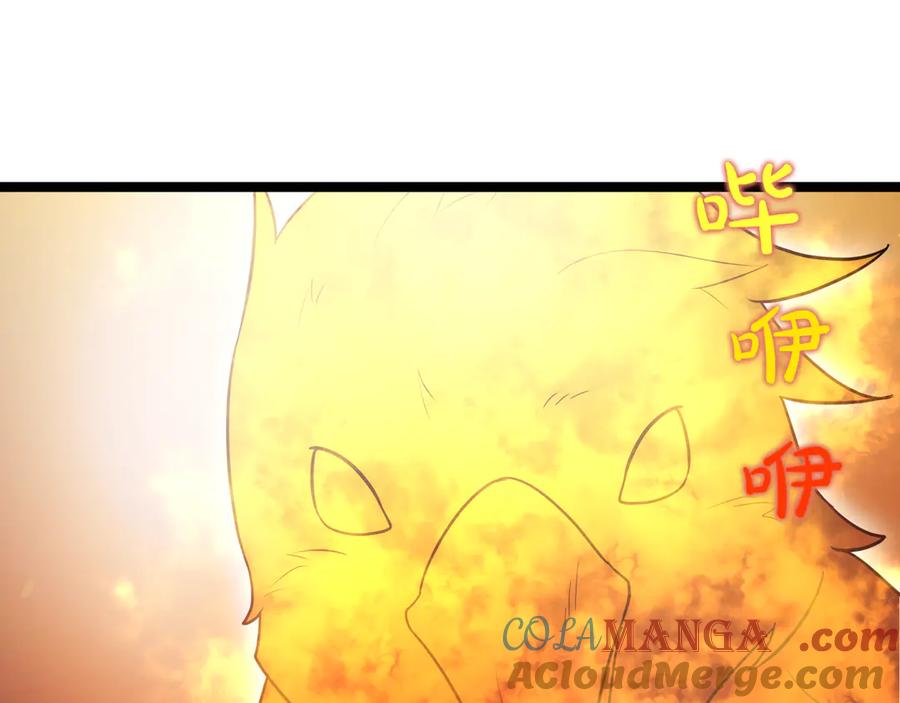 第229页