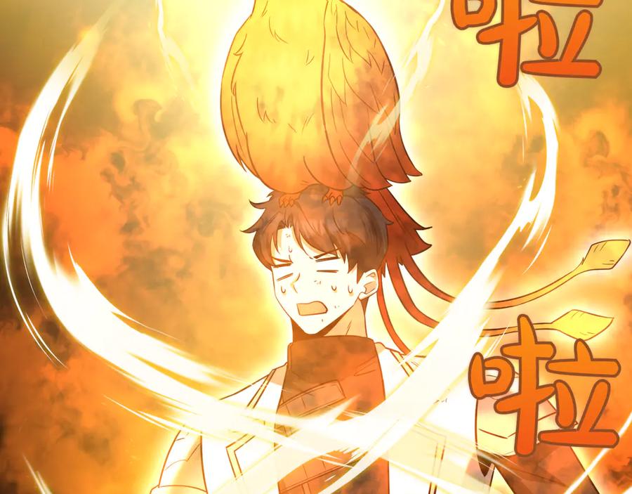 第231页