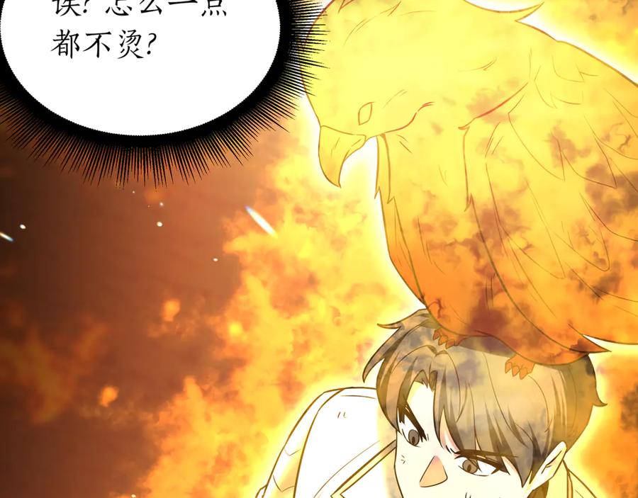 第239页