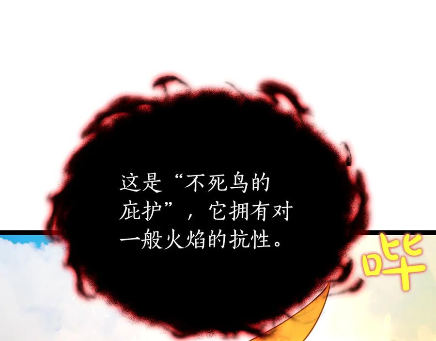 第242页