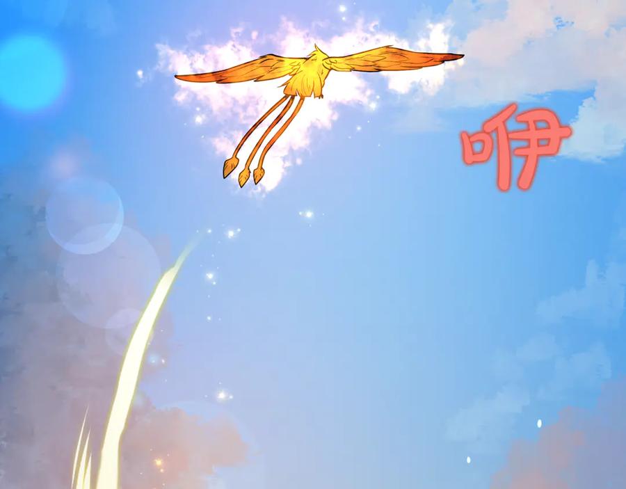 第255页