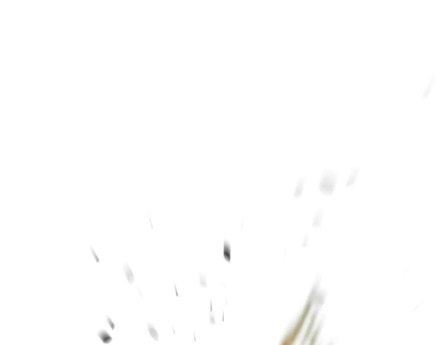 第236页
