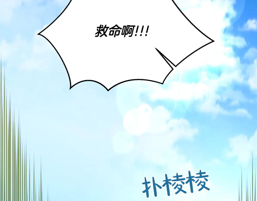 第244页