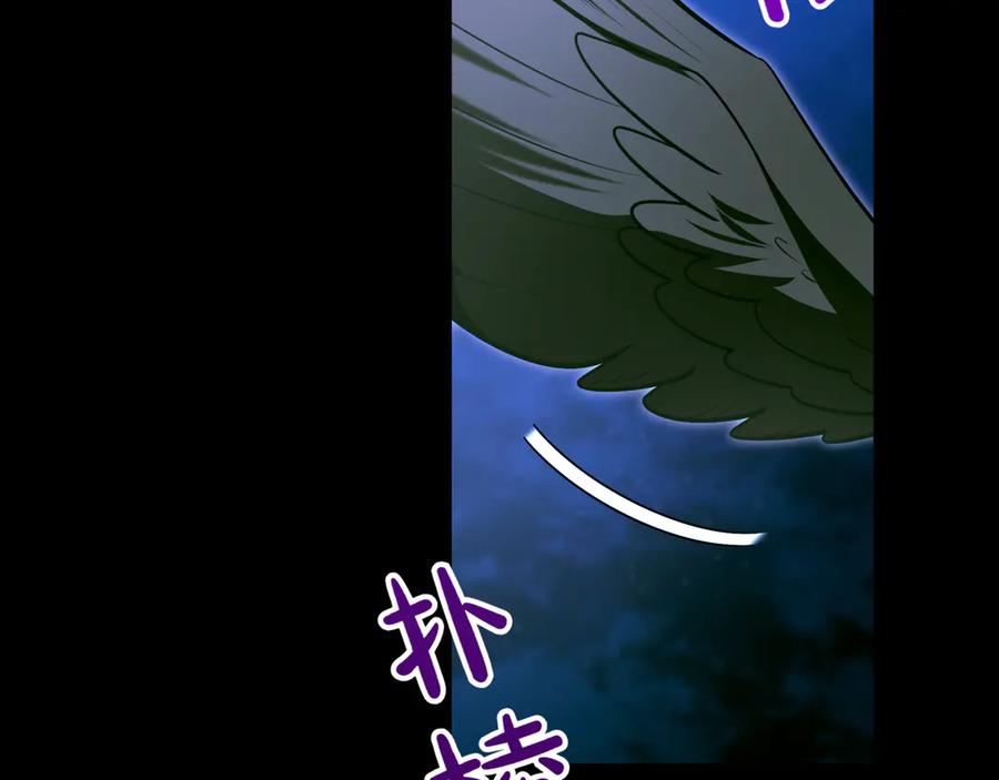 第215页