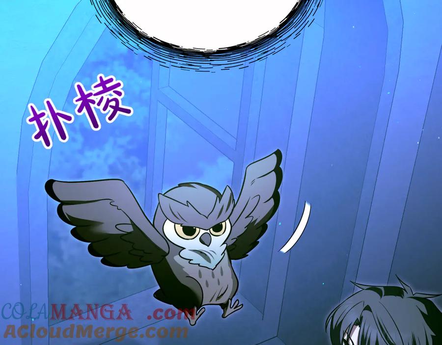 第217页