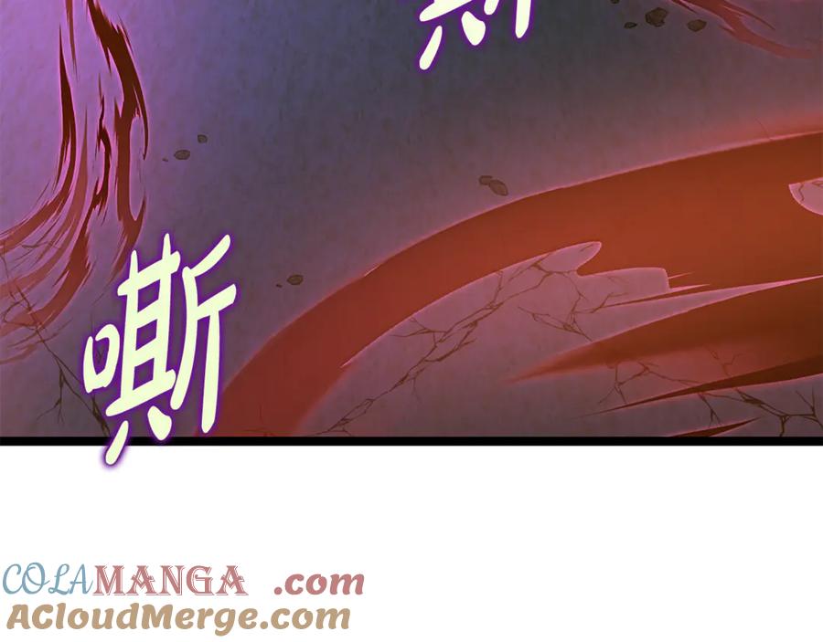 第205页