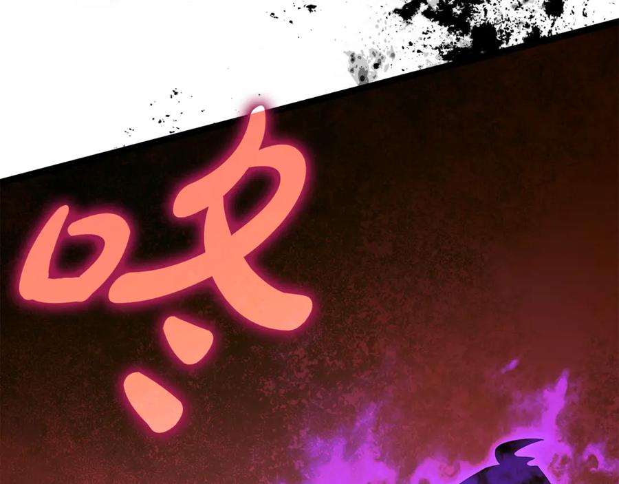 第224页