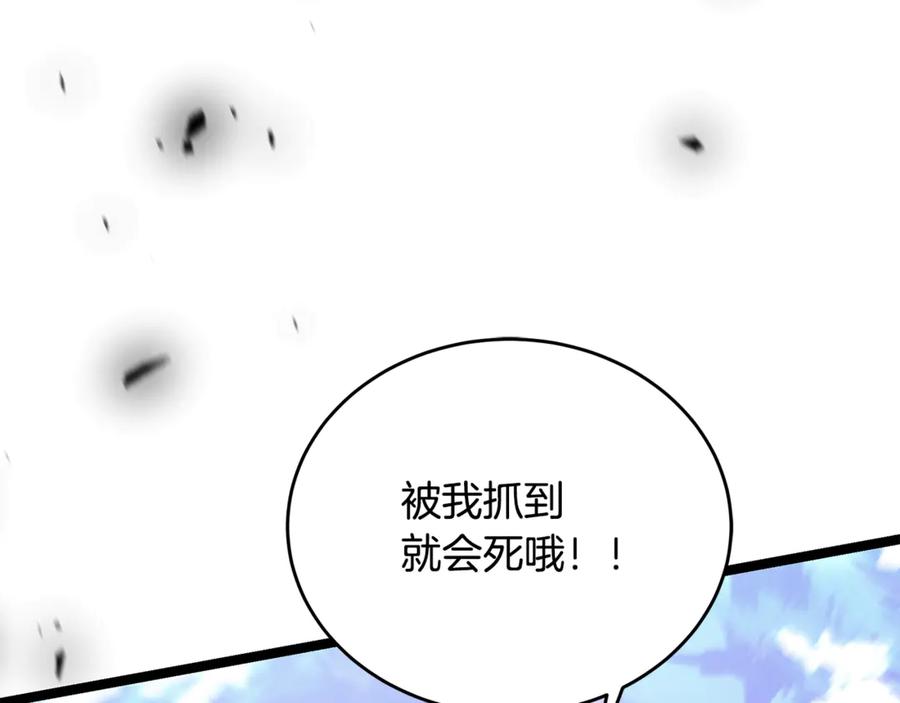 第216页