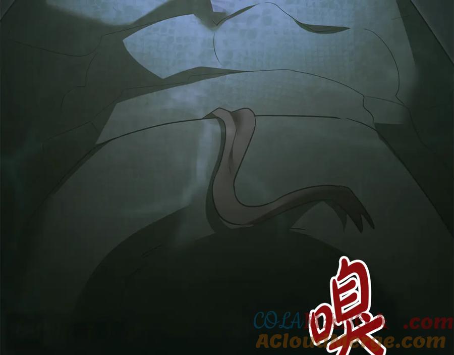 第209页