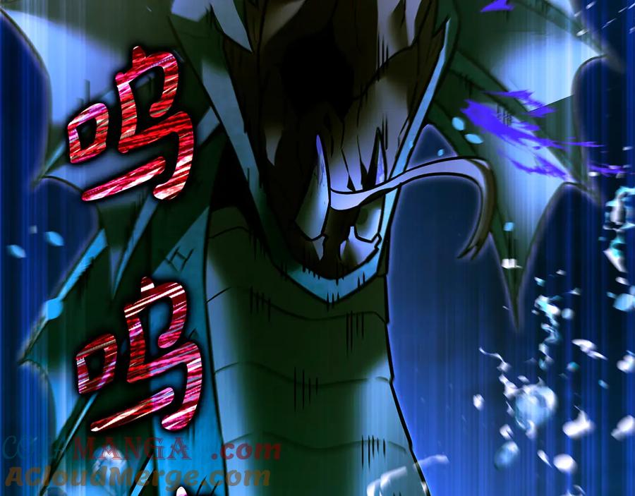 第229页