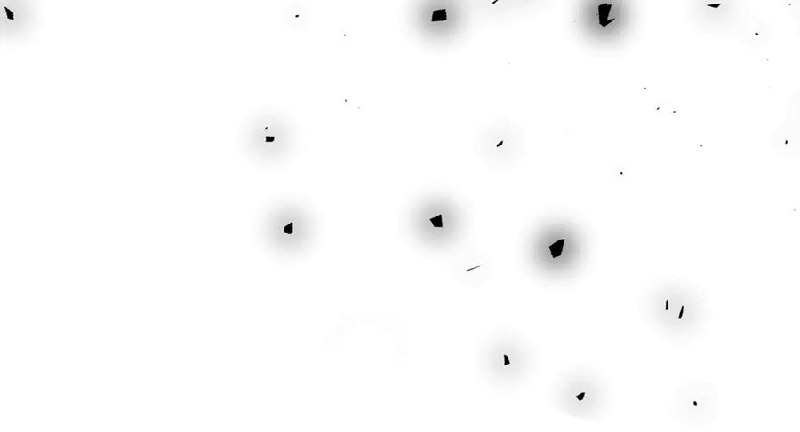 第204页