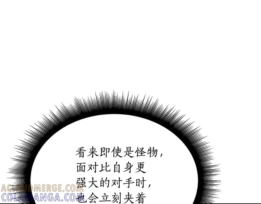 第233页