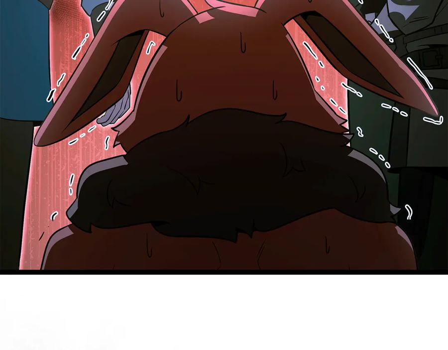 第242页