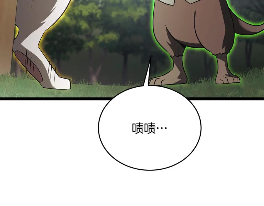 第204页