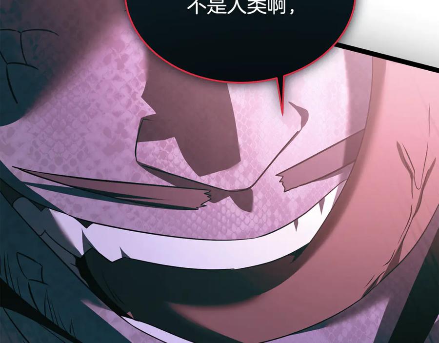 第234页