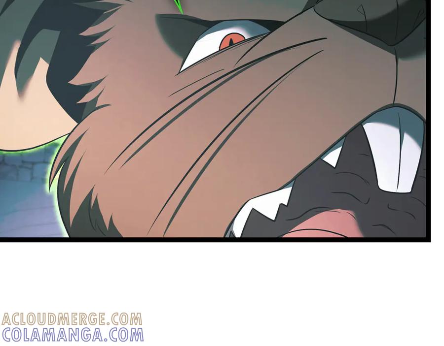 第197页