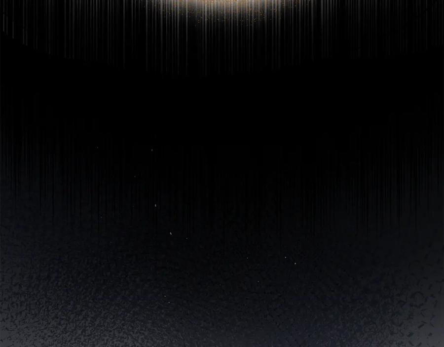 第223页