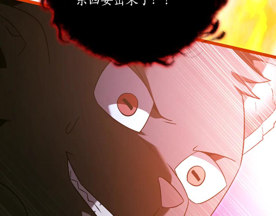 第259页