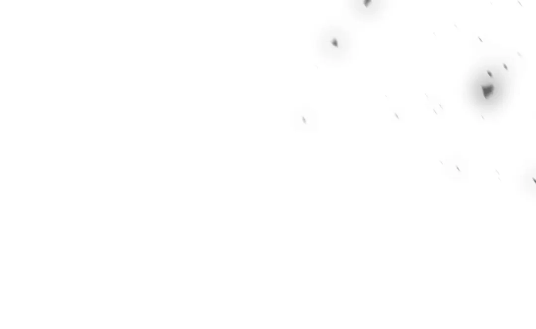 第234页