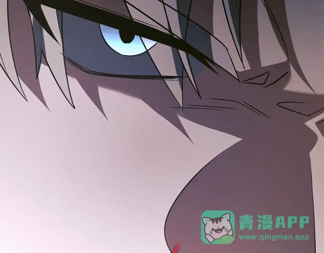 第246页
